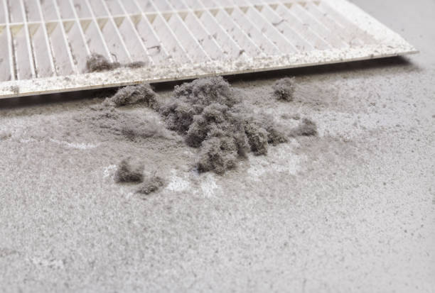 Best Best Air Duct Cleaning Company  in Kingsville, TX