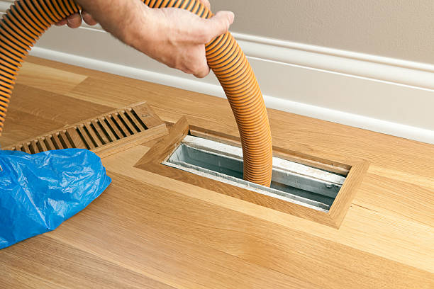 Air Duct Mold Removal in Kingsville, TX